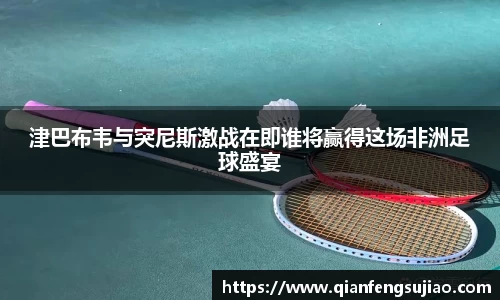 津巴布韦与突尼斯激战在即谁将赢得这场非洲足球盛宴