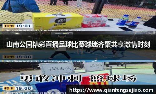 山南公园精彩直播足球比赛球迷齐聚共享激情时刻