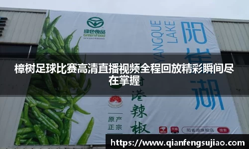 EMC易倍下载